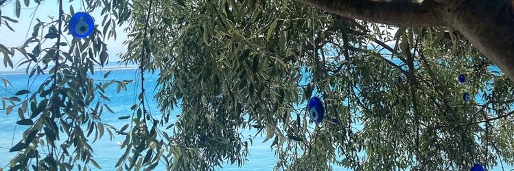 tryingtosth's profile banner image