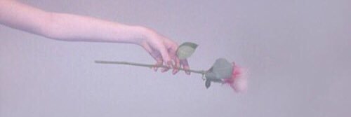 Peco__run's profile banner image