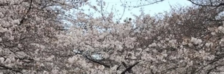 AL banner