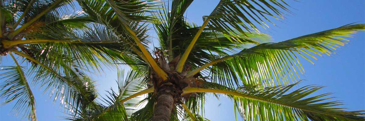 tmaquet's profile banner image