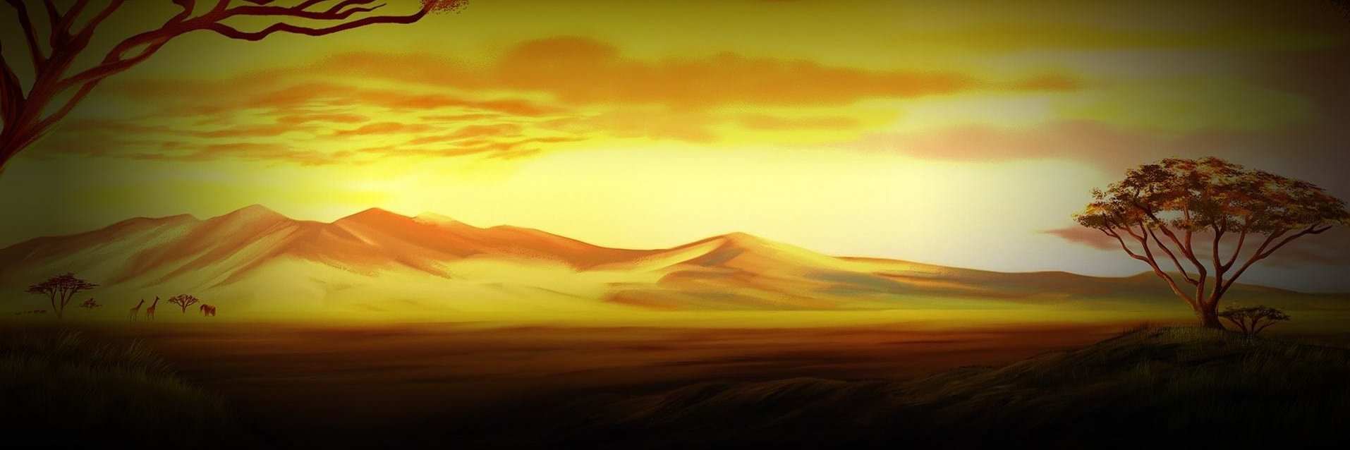 bacoto's profile banner image