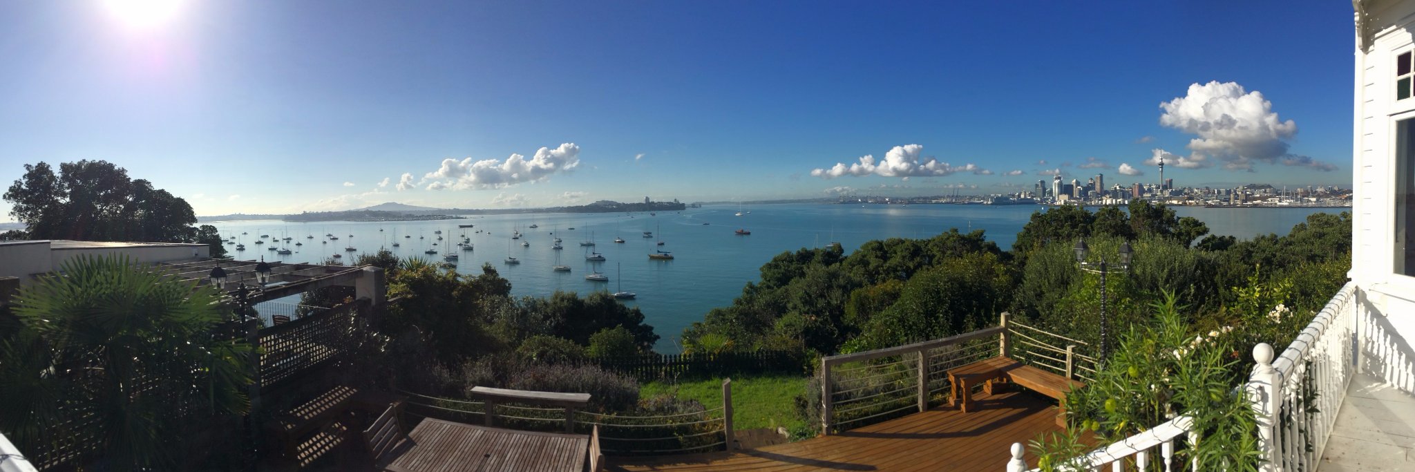 Andy Pavletich banner