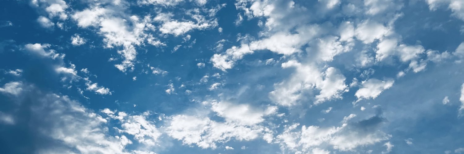 ☕️ラテ 🥐@カラシン banner