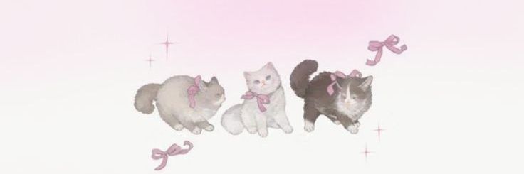 ˚₊‧꒰ა cloudy ໒꒱ ‧₊˚ banner