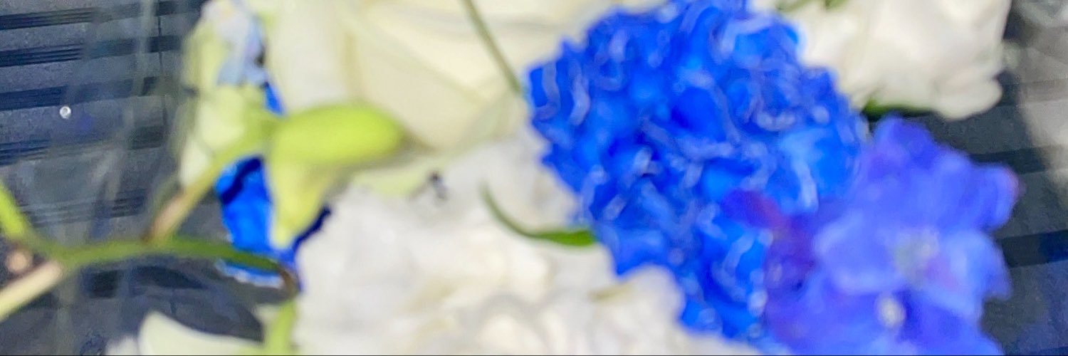 bisco_taberu's profile banner image