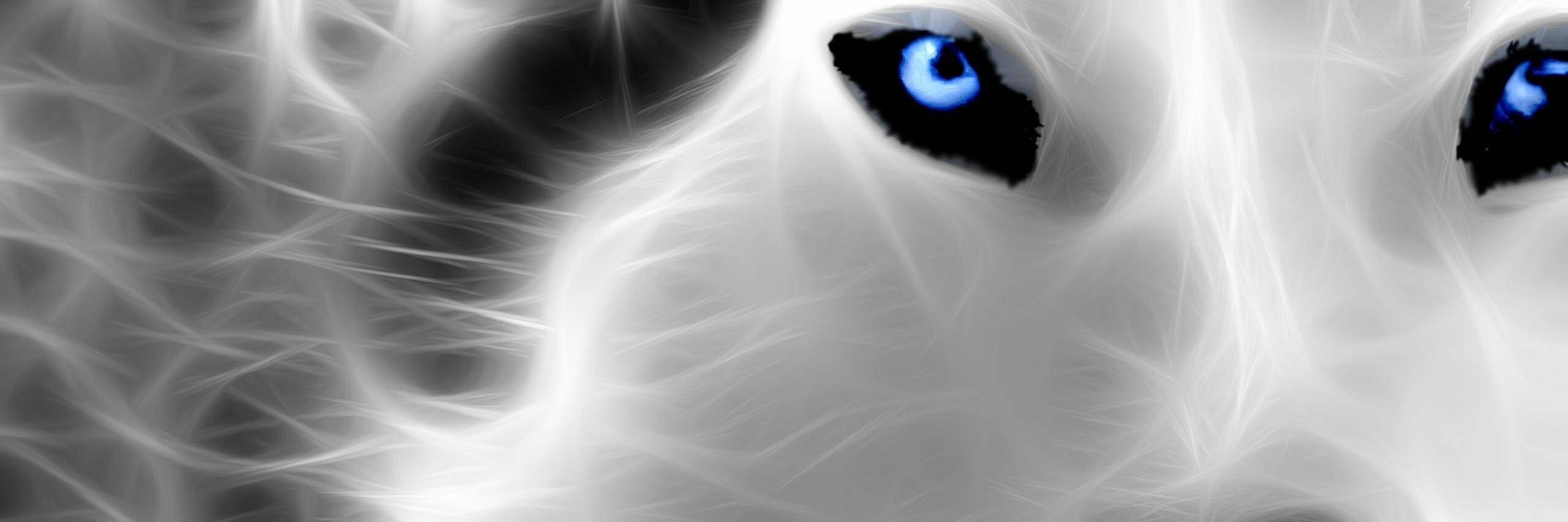 FelZiz's profile banner image