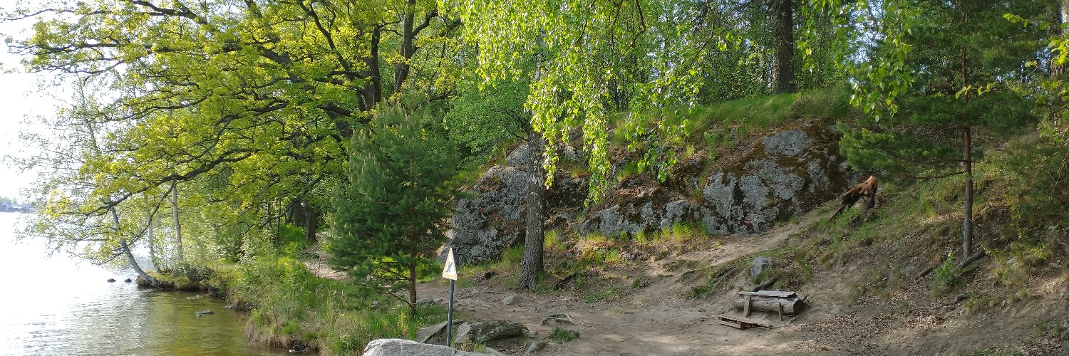 Jani Roth banner