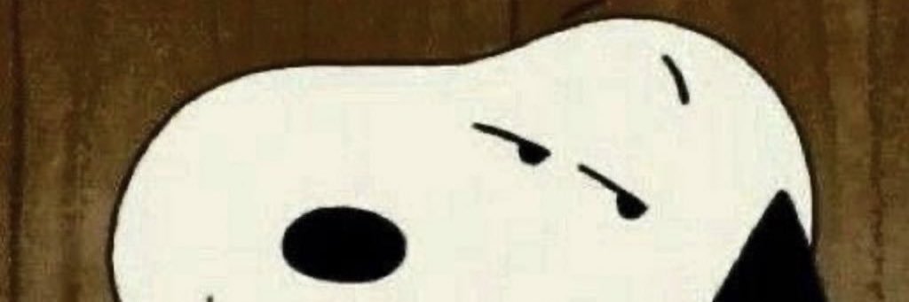 Griselda Blanco (last gyal standing) banner