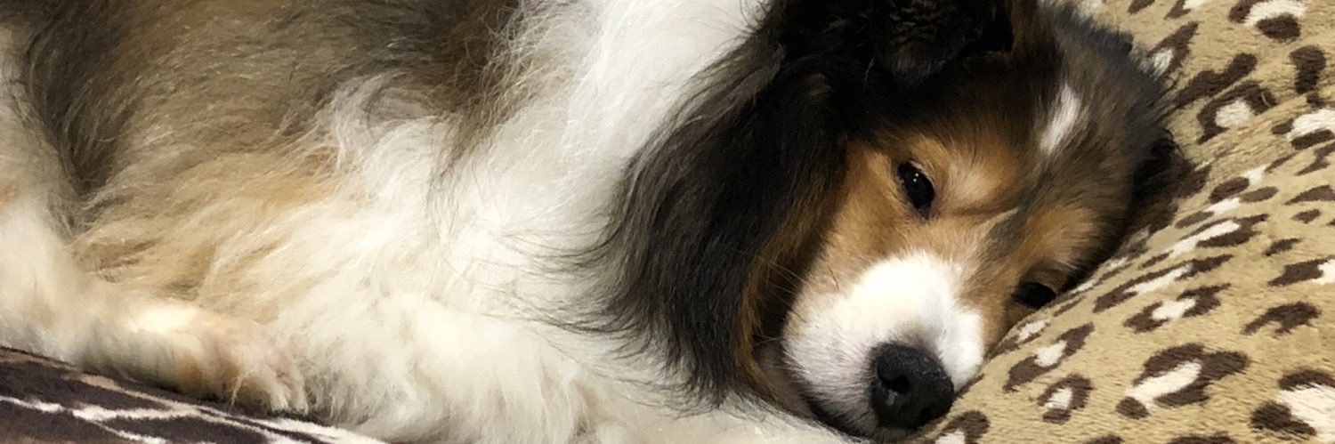 oh_bcnc's profile banner image