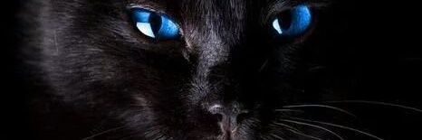 23Anton23's profile banner image