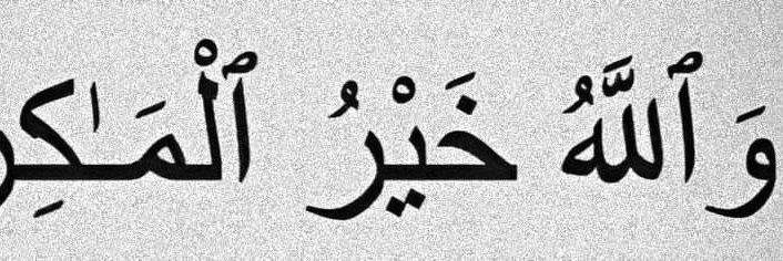 Muntasir🇳🇬🇵🇸 banner