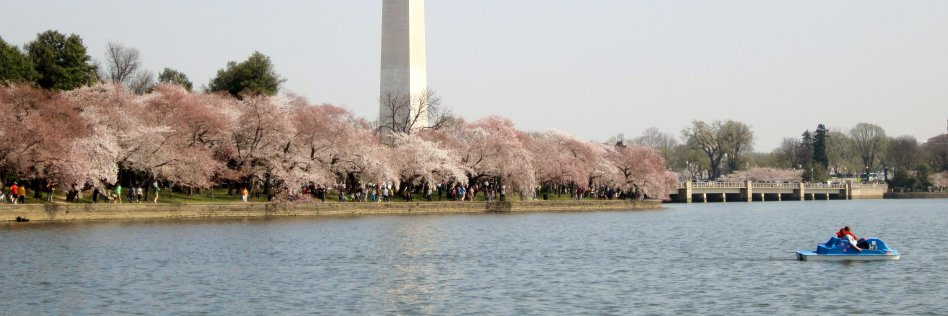 leamarie's profile banner image