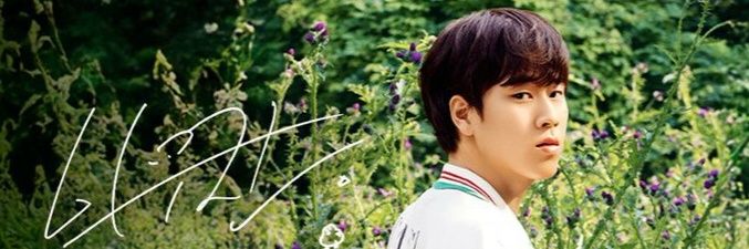 나무 banner