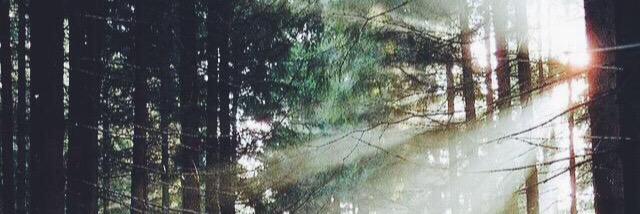 Loole_14's profile banner image