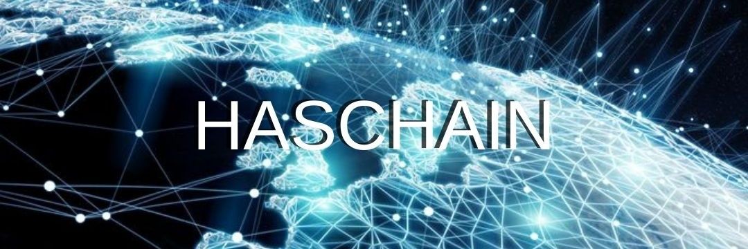 Haschain banner