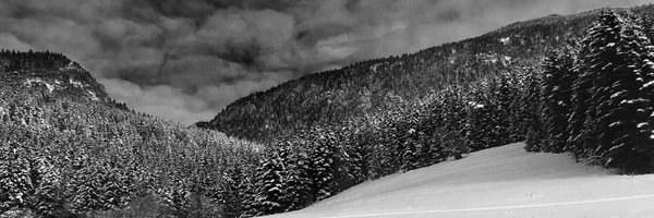 SLyonnard Profile Banner