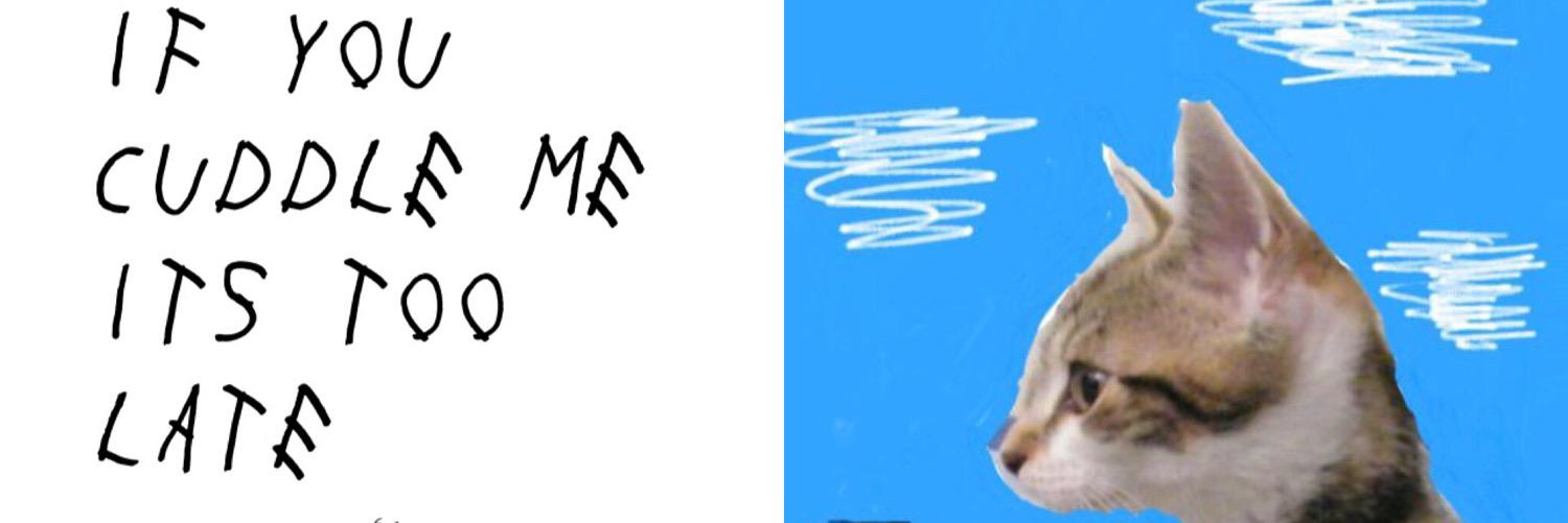 Category: Flop Bitch. I’m the Bar. banner