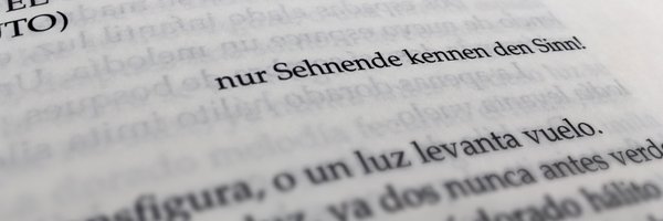 pcsanguinetti Profile Banner