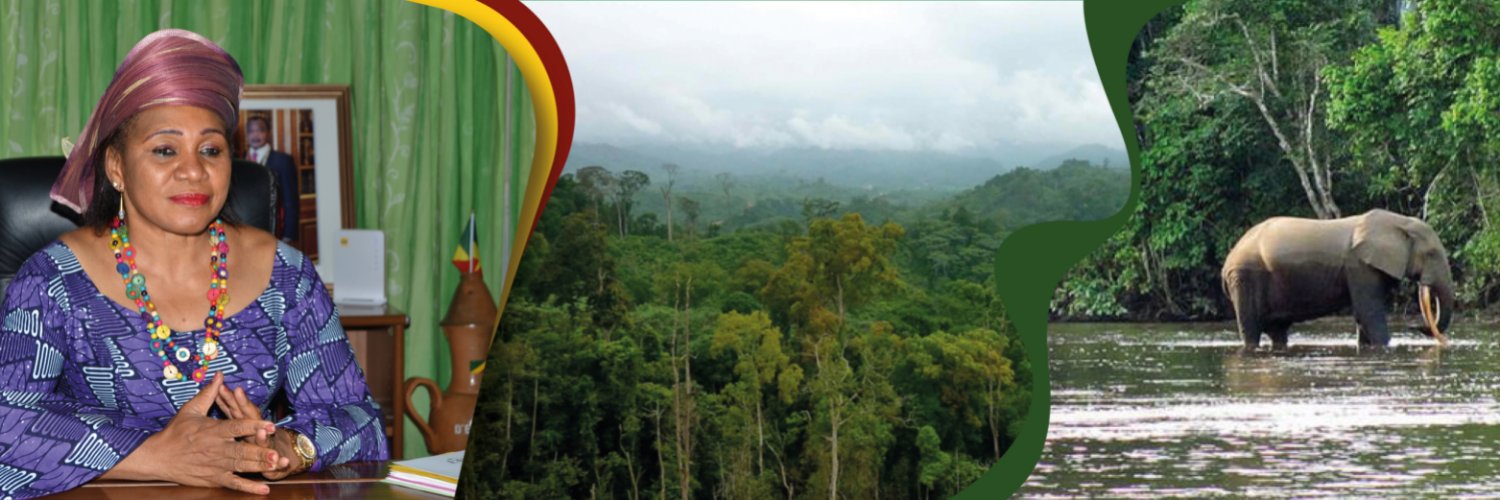 Ministère de l'Economie Forestière - Congo banner