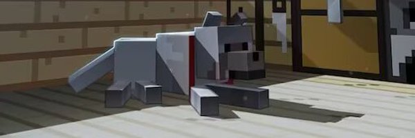 jitian_123 Profile Banner