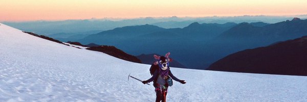 Bungee_bucc Profile Banner