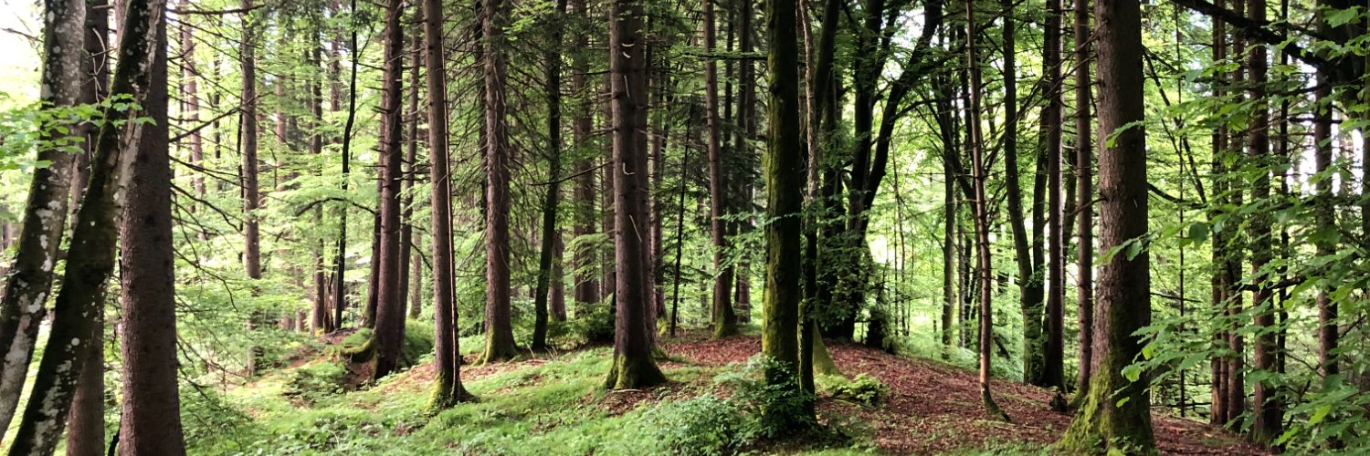 Unser_Wald's profile banner image