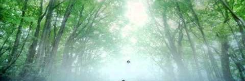 listopad74's profile banner image