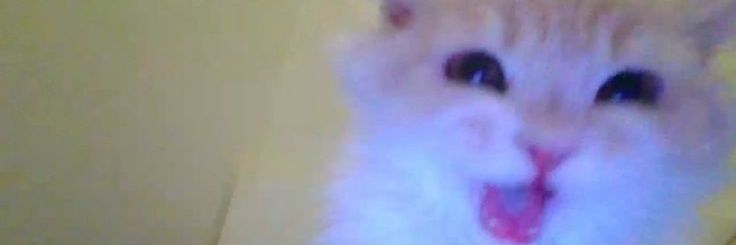 ؘ banner