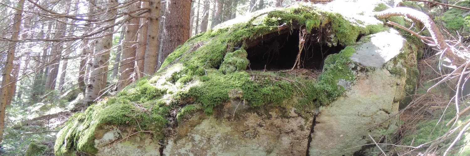 Олег Марко banner