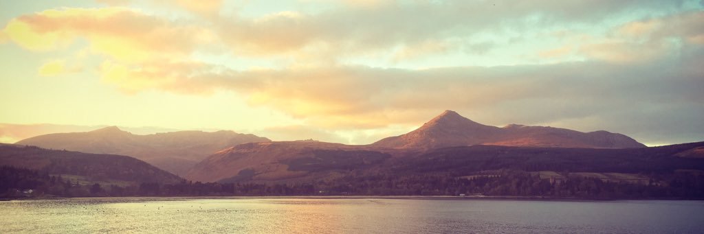 Rachel McLatchie banner