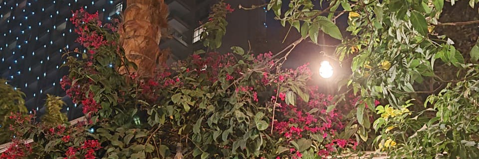 Samira__khaled's profile banner image