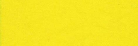 mittn's profile banner image