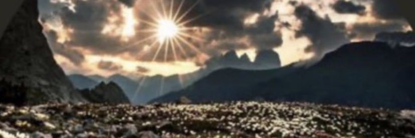 Manoooo123456's profile banner image
