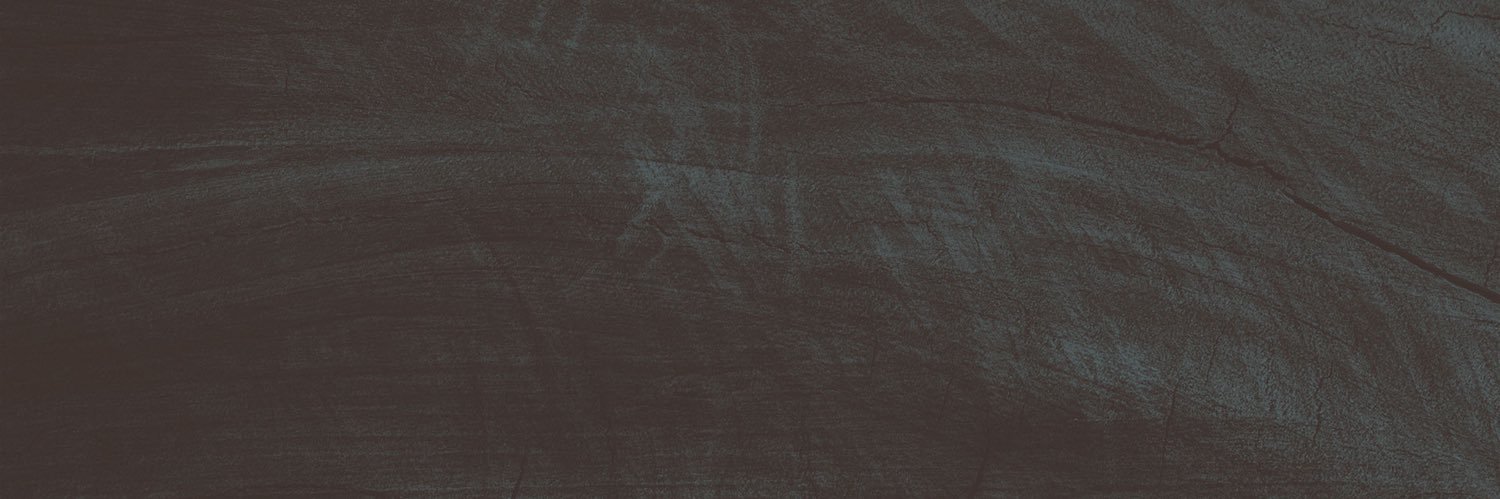 Blockchain Bee banner