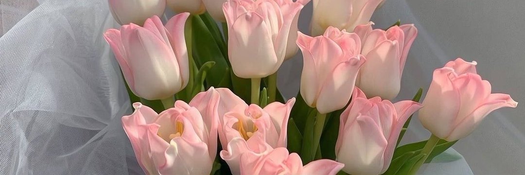 فراشه 🦋 banner