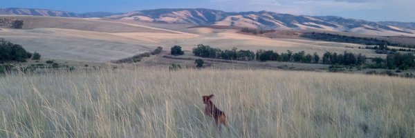 aburkhartlaw Profile Banner
