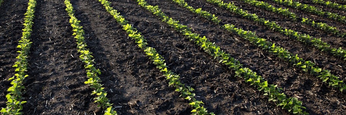 PERC Pesticide Educational Resources Collaborative banner