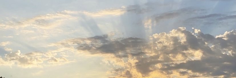 DanieloAmara's profile banner image
