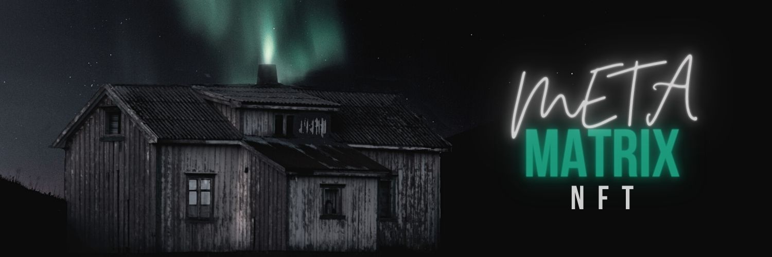 MetaMatrixNFT's profile banner image