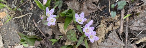 cgwilson25 Profile Banner