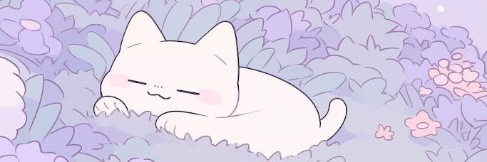 Debie 💫 banner