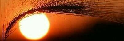 Mercyline_M's profile banner image