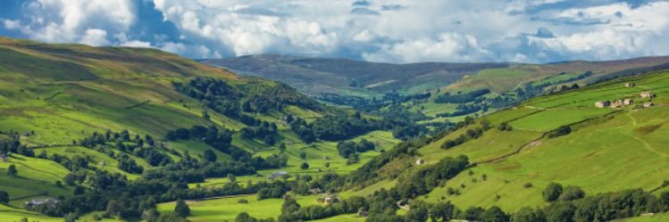 YorkshireDips's profile banner image