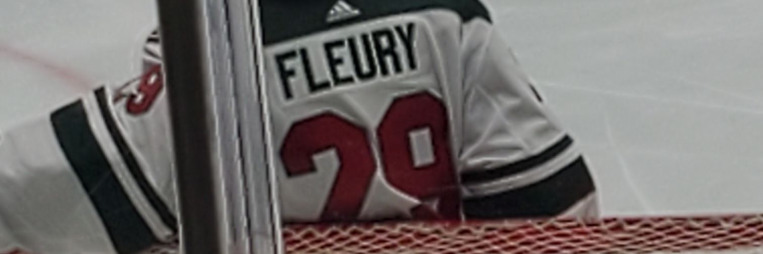 Minnesota Sports banner