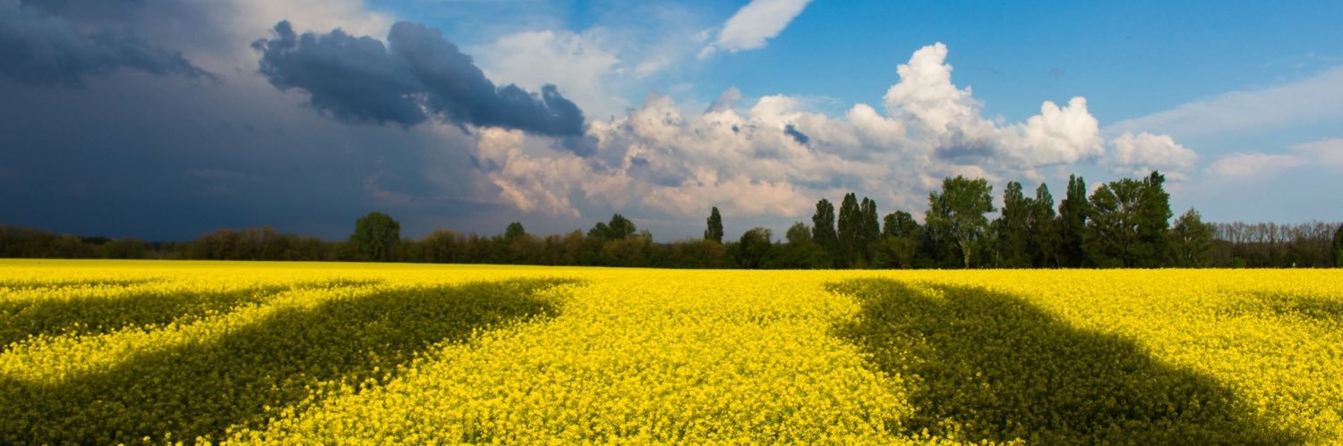 ojappinen's profile banner image