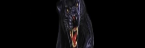 Transante97's profile banner image