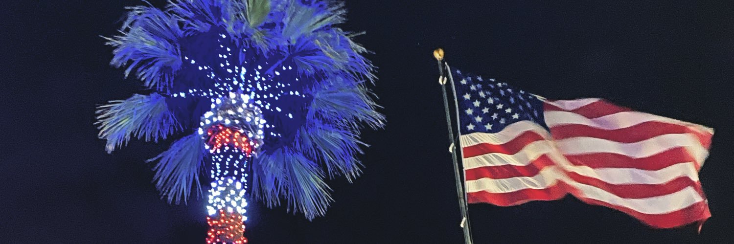 The True Americans🇺🇸 banner