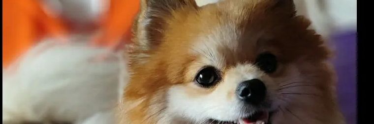 SandraRimes4's profile banner image