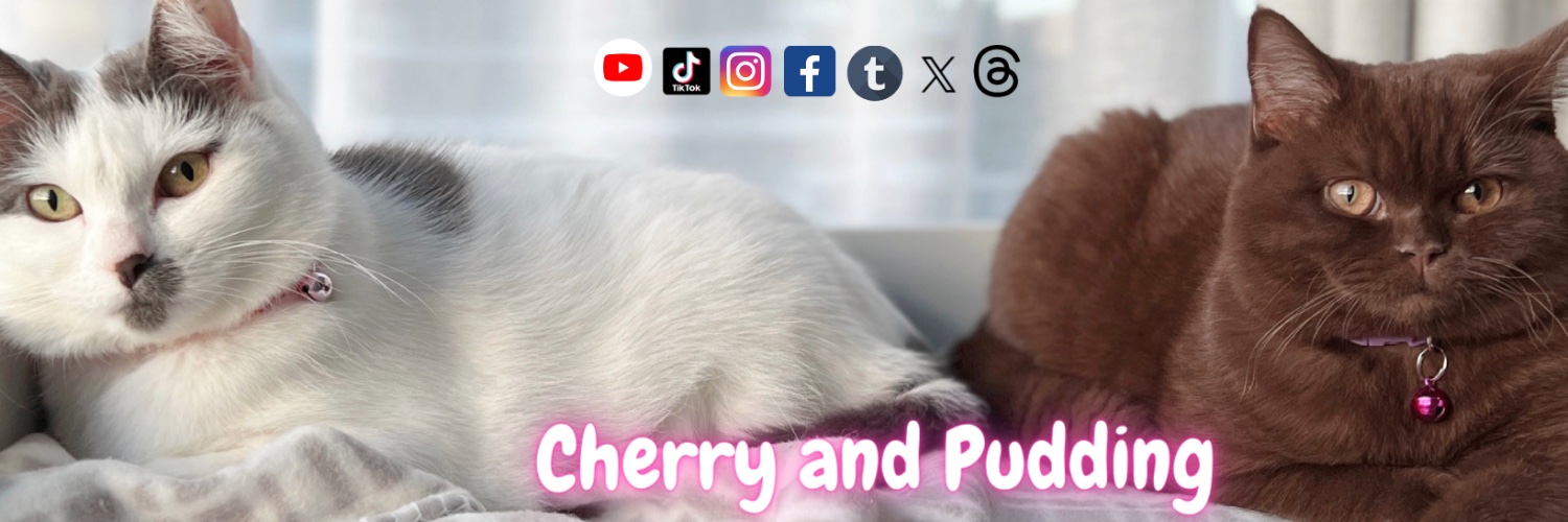 cherrypudding26's profile banner image