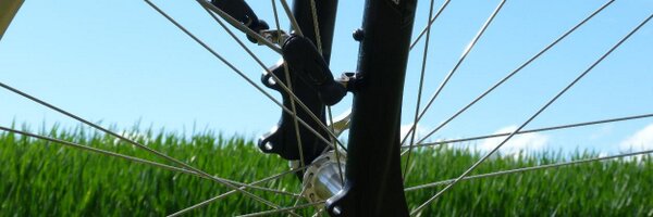 DheerLaura Profile Banner